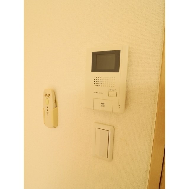 アムール HAL セキュリティ