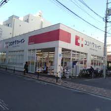 フラーファ江古田 ドラッグストア