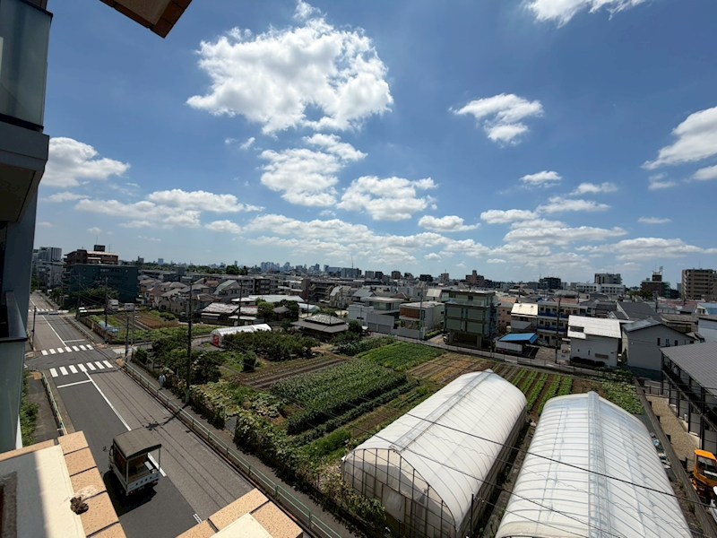 テラス鷺宮 眺望