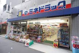 カーサフジタ ドラッグストア