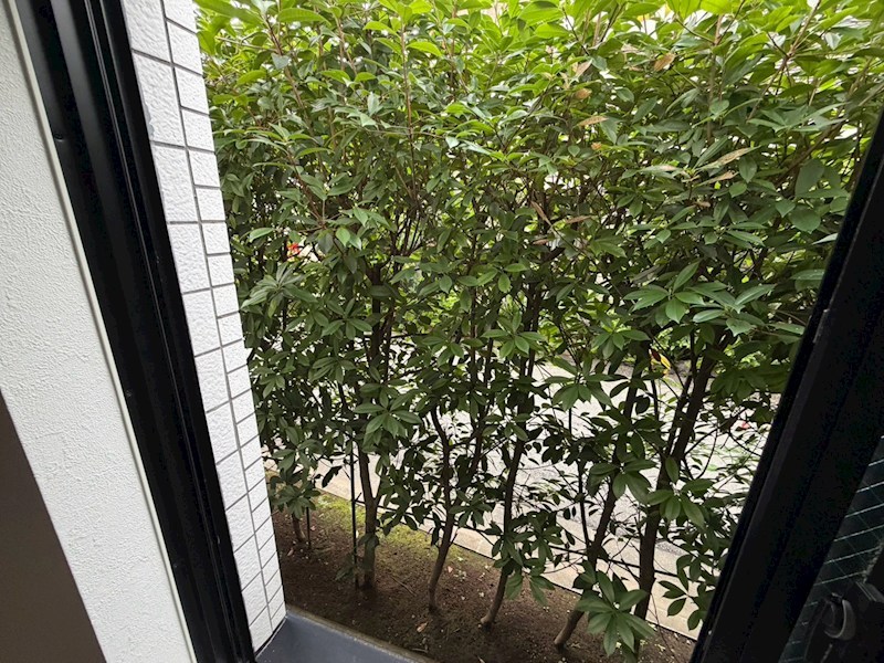 イーリス江古田 眺望