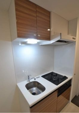 大田区田園調布2丁目楽器可（防音・24時間演奏・グランドピアノ・弦・管楽器・声楽）マンション キッチン