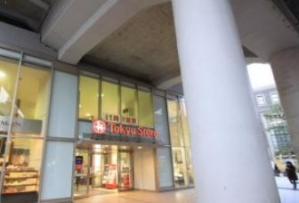 目黒区中根2丁目楽器可(防音・24時間演奏・グランドピアノ・弦・管楽器・声楽)マンション その他