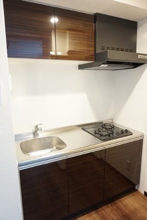 新宿区新宿5丁目楽器可(防音・グランドピアノ・弦・管楽器・声楽)マンション キッチン
