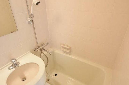 港区西麻布3丁目楽器可(ピアノ)マンション 風呂画像