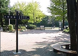 練馬区氷川台3丁目楽器可(ピアノ・弦・管楽器・声楽)マンション その他