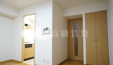 港区西麻布4丁目楽器可（ピアノ・弦楽器・DTM）マンション リビング