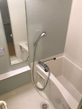 板橋区板橋2丁目楽器可(防音・24時間演奏・グランドピアノ・弦管楽器・声楽)新築マンション 風呂画像