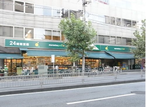 練馬区豊玉中1丁目楽器可(防音・24時間演奏・ピアノ・弦管楽器・声楽)マンション その他