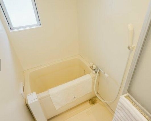 さいたま市北区日進町1丁目楽器可(防音・グランドピアノ・弦・管楽器・声楽)マンション 風呂画像