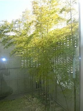 世田谷区成城8丁目楽器可(グランドピアノ)マンション ベランダ
