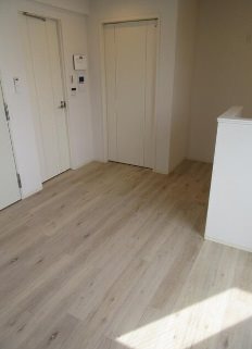北区中十条3丁目楽器可(防音・グランドピアノ・弦・管楽器・声楽)マンション リビング