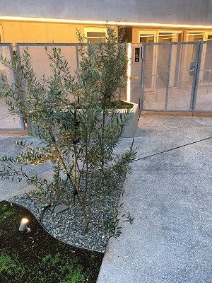 世田谷区下馬2丁目楽器可(防音・ピアノ・弦楽器)マンション エントランス