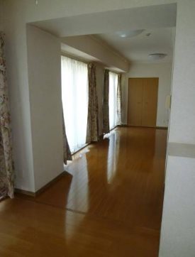 港区六本木3丁目楽器可（ピアノ・弦管楽器・声楽などその都度相談）マンション リビング