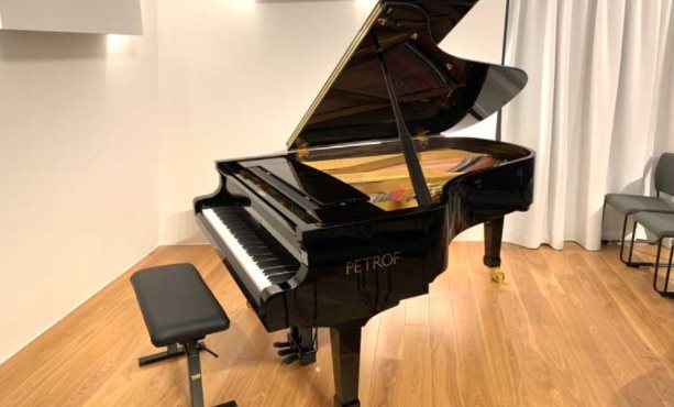 大田区池上1丁目楽器可（防音・24時間演奏・ピアノ・弦楽器・声楽）マンション その他