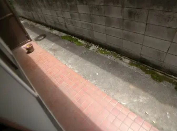 杉並区阿佐谷南1丁目楽器可（防音・各種楽器相談）アパート ベランダ