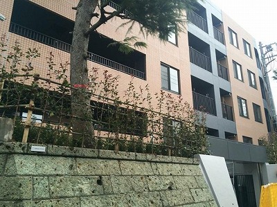 北区田端1丁目楽器可(ピアノ・他楽器相談)分譲マンション 外観