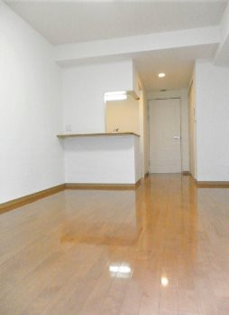 新宿区北新宿1丁目楽器可(防音・グランドピアノ・弦・木管楽器・声楽)マンション リビング