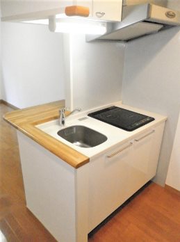 新宿区北新宿1丁目楽器可(防音・グランドピアノ・弦・木管楽器・声楽)マンション キッチン