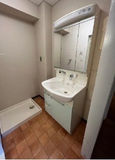 港区元麻布1丁目楽器可(防音・グランドピアノ要相談・弦管楽器・声楽・DTM)マンション 洗面所