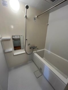 港区元麻布1丁目楽器可(防音・グランドピアノ要相談・弦管楽器・声楽・DTM)マンション 風呂画像