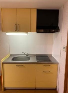 葛飾区西亀有2丁目楽器可(防音・グランドピアノ・弦・管楽器・声楽)マンション キッチン