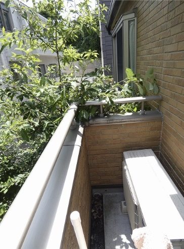 港区白金2丁目楽器可(ピアノ・弦・管打楽器・声楽)アパート ベランダ