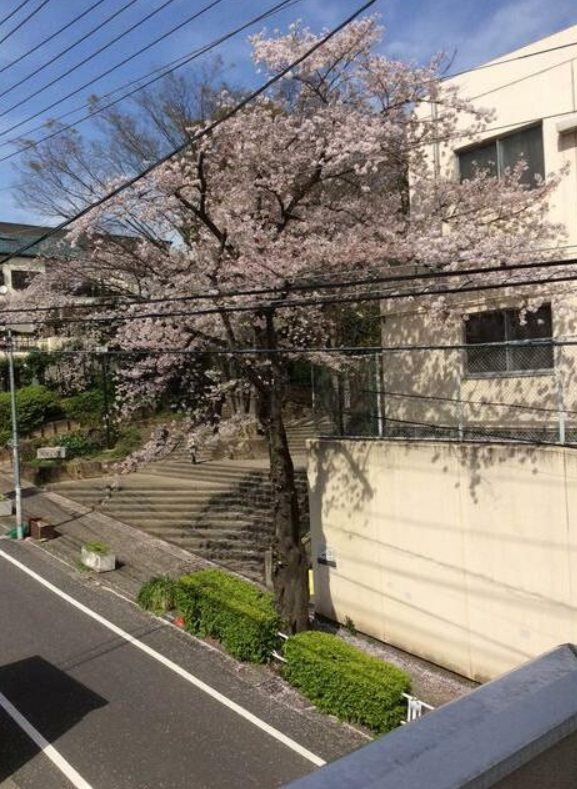 目黒区青葉台2丁目楽器可(防音・24時間演奏・ピアノ・弦管打楽器・声楽・DTM)戸建て ベランダ