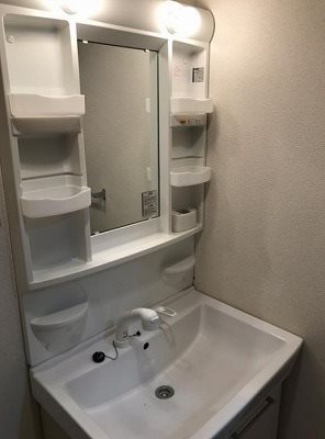 川崎市多摩区栗谷1丁目楽器可(防音・グランドピアノ・弦・木管楽器・声楽・DTM)マンション 洗面所