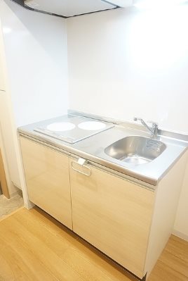 横浜市南区永楽町1丁目楽器可(防音・24時間演奏・弦管楽器・声楽・DTM)マンション キッチン