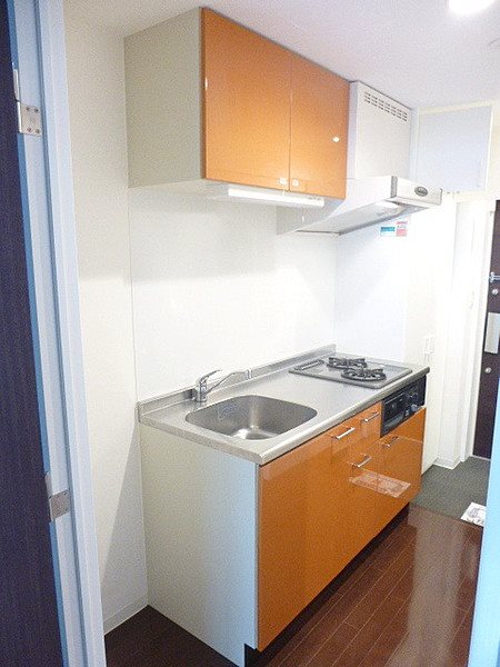 調布市若葉町2丁目楽器可（ピアノ・弦/管楽器・声楽）女性限定マンション キッチン