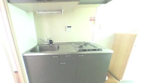 豊島区池袋2丁目楽器可(グランドピアノ・弦楽器・声楽)女性限定マンション キッチン
