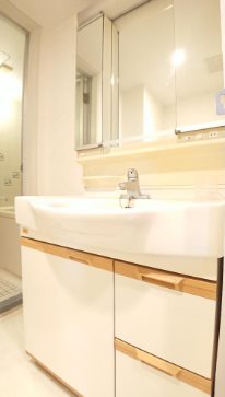 狛江市岩戸北3丁目楽器可(グランドピアノ・弦管楽器・声楽)マンション 洗面所