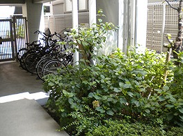豊島区高松2丁目楽器可（防音・24時間演奏・グランドピアノ・弦・管楽器・声楽）マンション その他共有部分