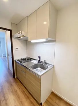 川崎市多摩区宿河原6丁目楽器可（グランドピアノ・木・弦楽器、DTM）マンション キッチン