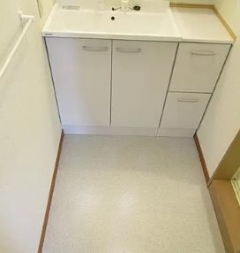 東京都練馬区桜台３丁目楽器可(グランドピアノ・弦・木管楽器)マンション 洗面所