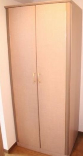 ふじみ野市丸山6丁目楽器可(防音・グランドピアノ・弦・木管楽器)音楽マンション 収納