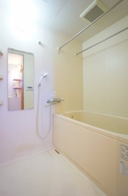 ラフィーネ溝ノ口 風呂画像
