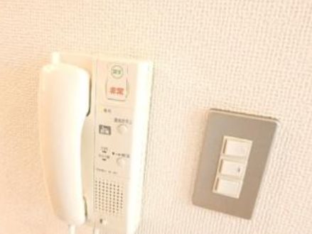 立川市幸町5丁目楽器可（ピアノ・弦/管/打楽器・声楽）物件 セキュリティ