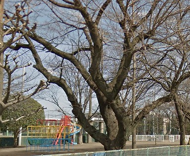 朝霞市西原2丁目楽器可（ピアノ・弦・管楽器・声楽）マンション その他