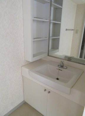 さいたま市大宮区堀の内1丁目楽器可(グランドピアノ・弦・木管楽器)マンション 洗面所