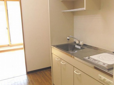 座間市相模が丘5丁目楽器可（ピアノ・弦・木管楽器）マンション キッチン