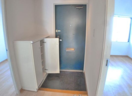 市川市新田2丁目楽器可(グランドピアノ・弦楽器・声楽)マンション 玄関