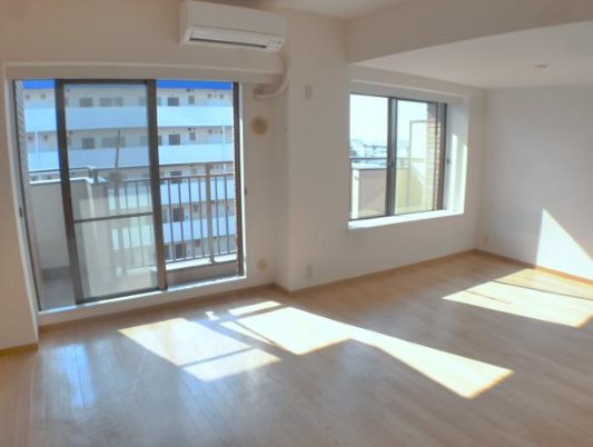 市川市新田2丁目楽器可(グランドピアノ・弦楽器・声楽)マンション リビング