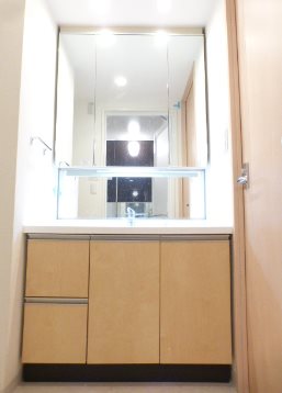 港区浜松町1丁目楽器可（ピアノ）マンション 洗面所