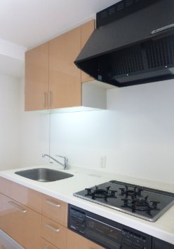 港区浜松町1丁目楽器可（ピアノ）マンション キッチン