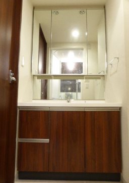 港区浜松町1丁目楽器可（ピアノ）マンション 洗面所