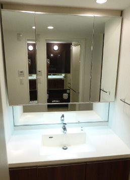 港区浜松町1丁目楽器可（ピアノ）マンション 洗面所