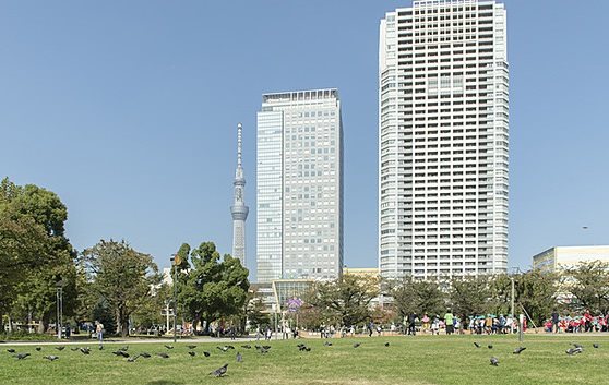 墨田区横川3丁目楽器可（ピアノ可）マンション その他