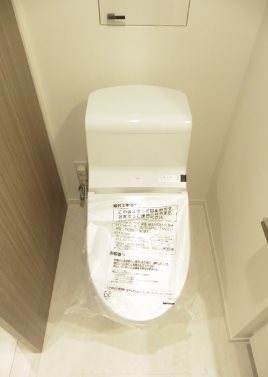 港区西新橋3丁目楽器可（ピアノ）マンション トイレ